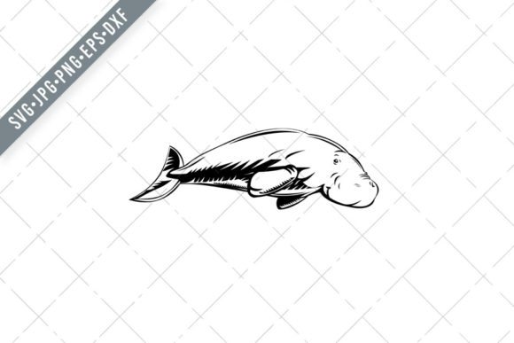 Download Dugong Medium-Sized Marine Mammal&nbsp; - Premium Resources