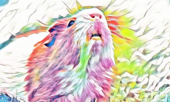 Download Hamster Premium Digital Paper VOL-8 - Premium Collection